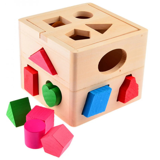 Smart Shape Wooden Sorter Cube